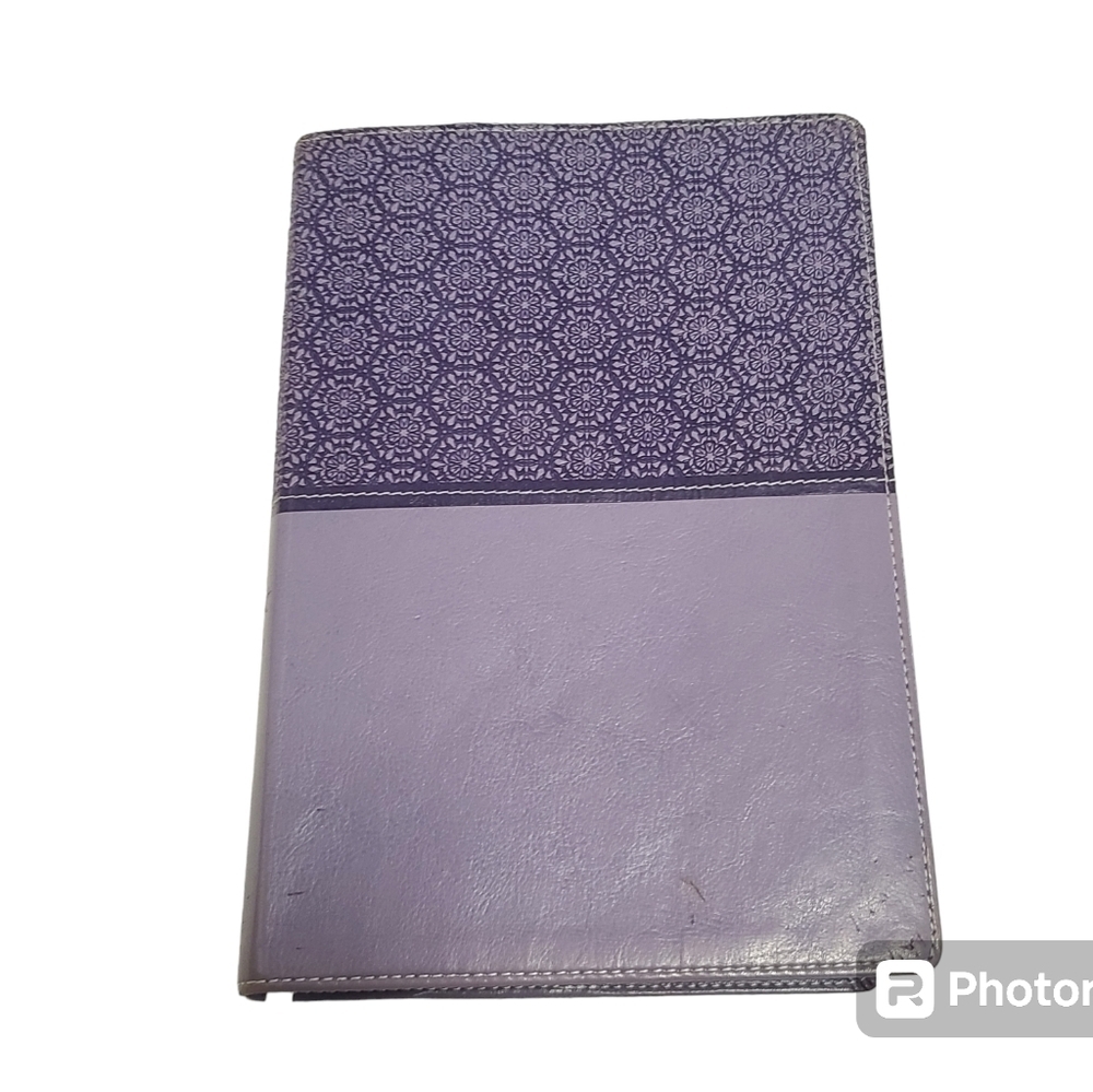 Purple NIV zondervan student bible
